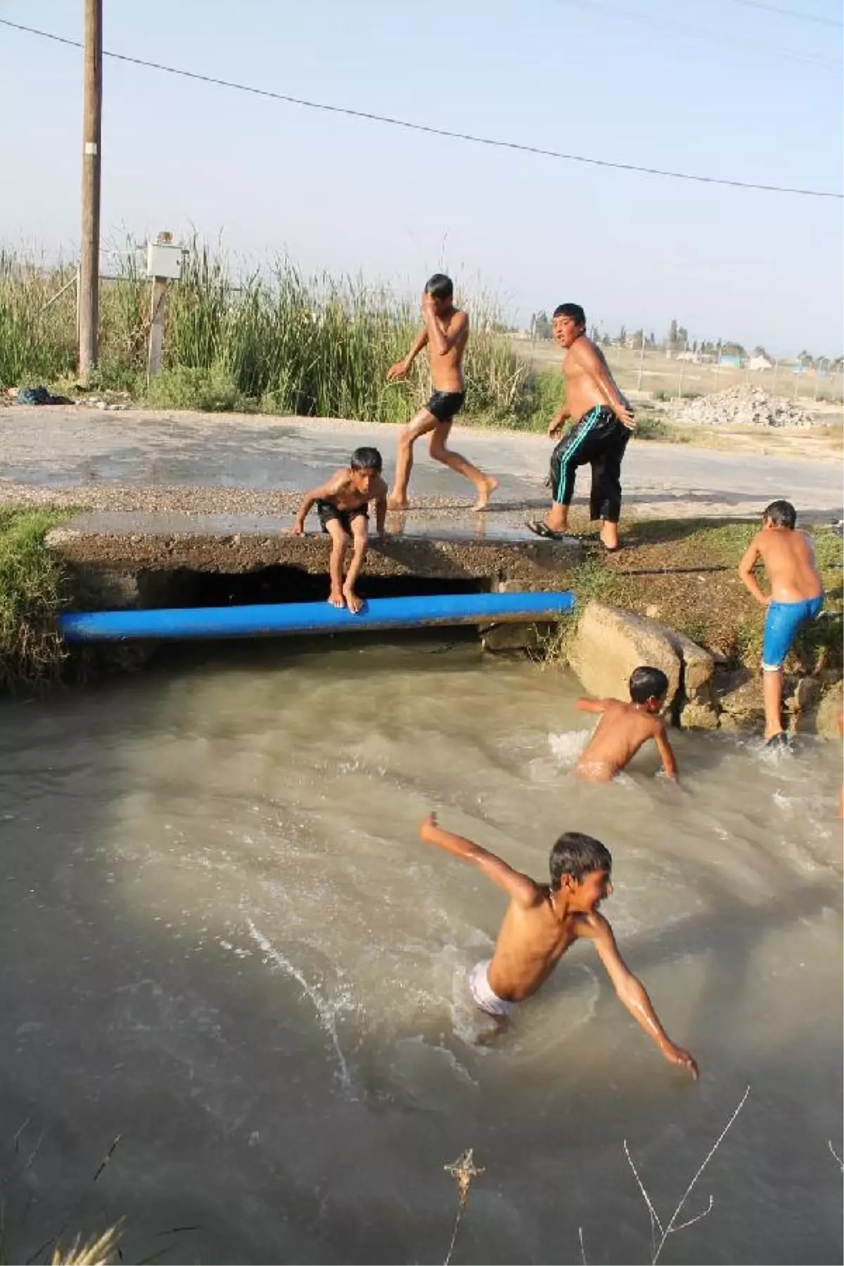 Prof. Dr. Taşova\'dan, Sulama Kanallarında \'Fare İdrarı\' Uyarısı