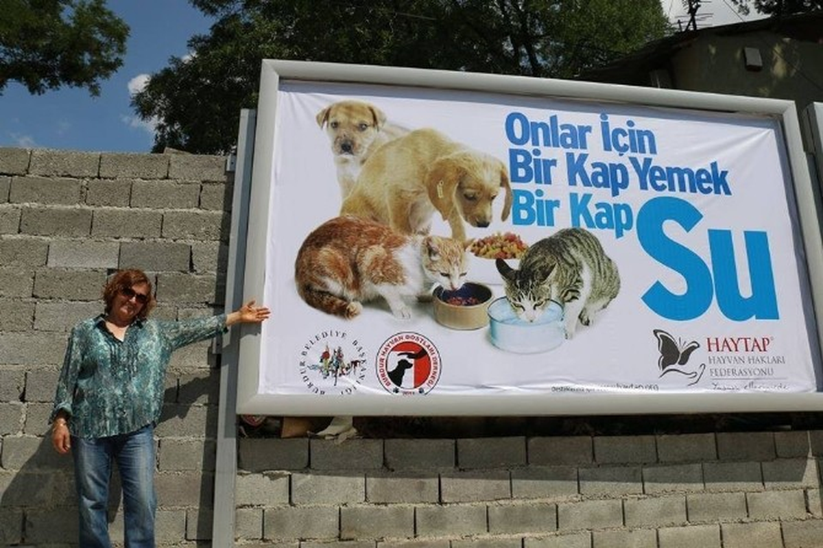 Burdur\'da Sokak Hayvanları Seferberliği