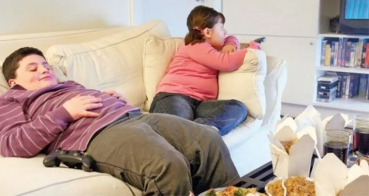 Türkiye Çocukluk Çağı Şişmanlık Araştırması