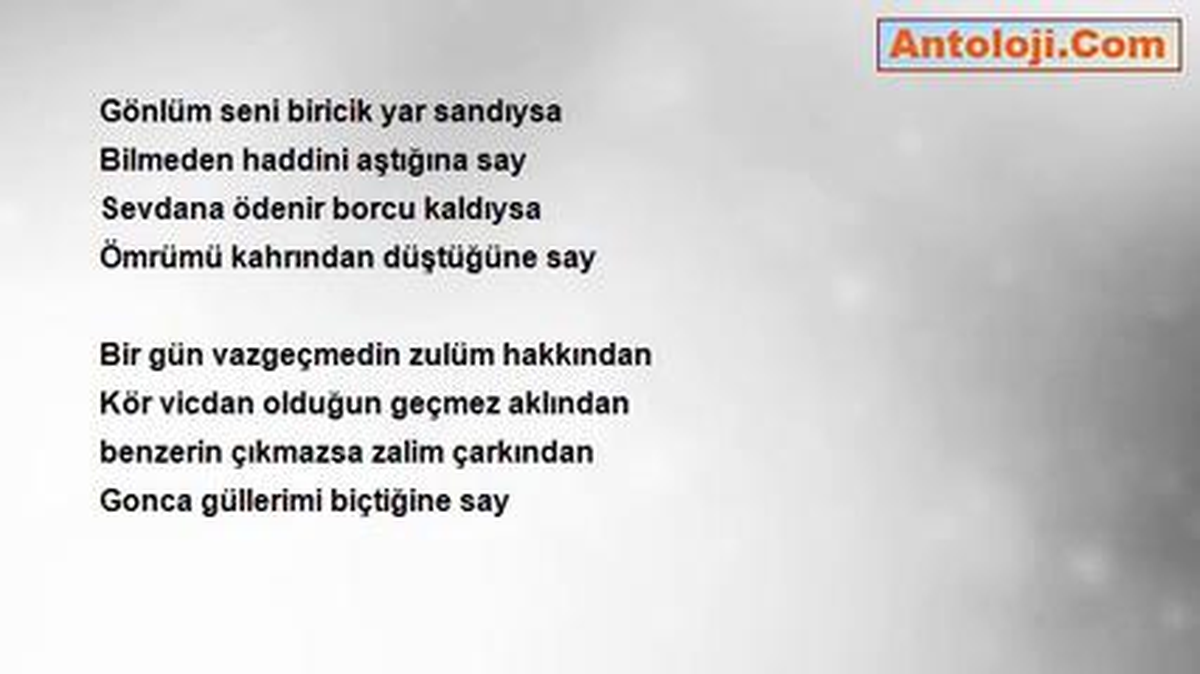 Yasar Aydın - Leyla Misali