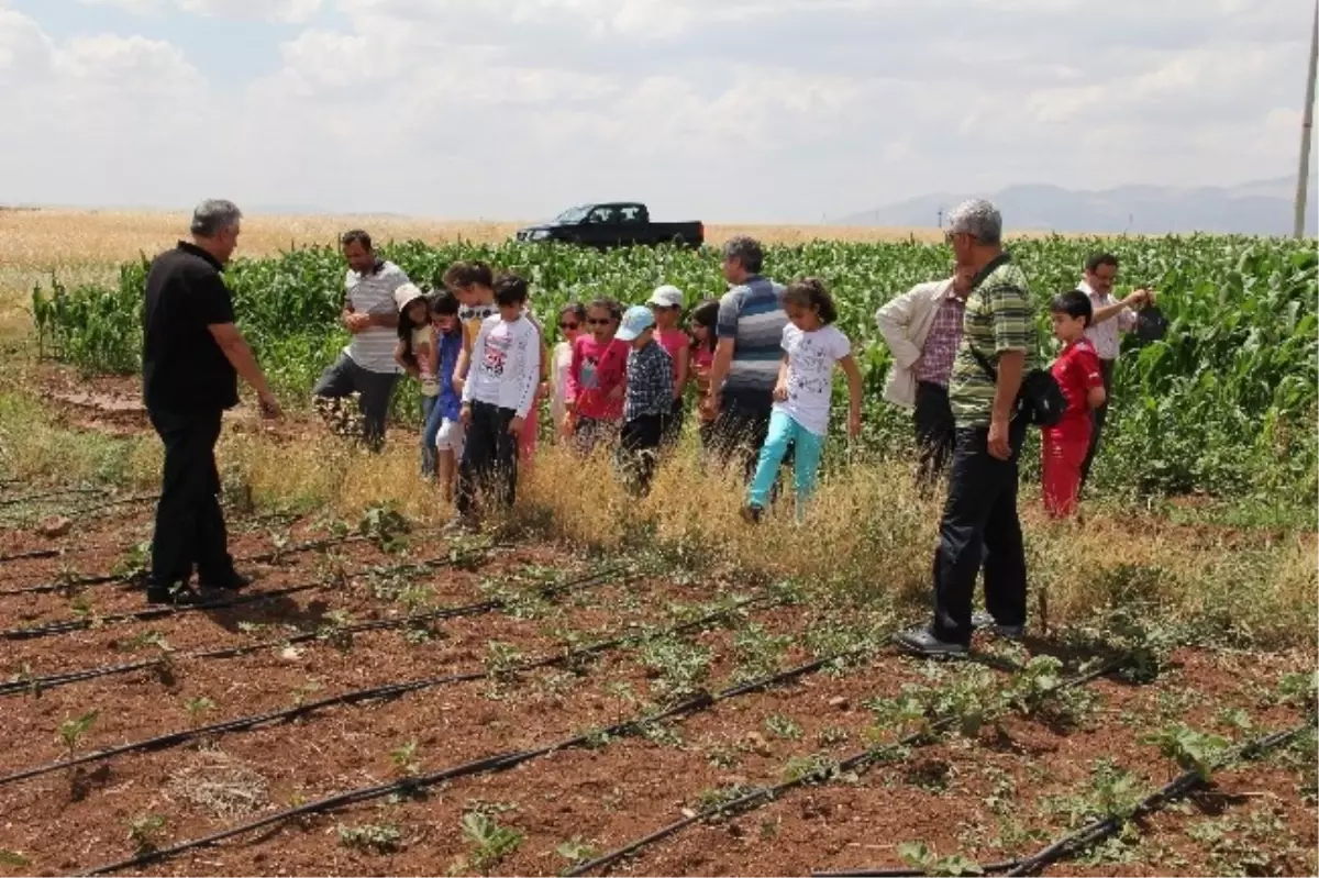 Kars\'ta Lider Çocuklar Tarımla Buluşuyor