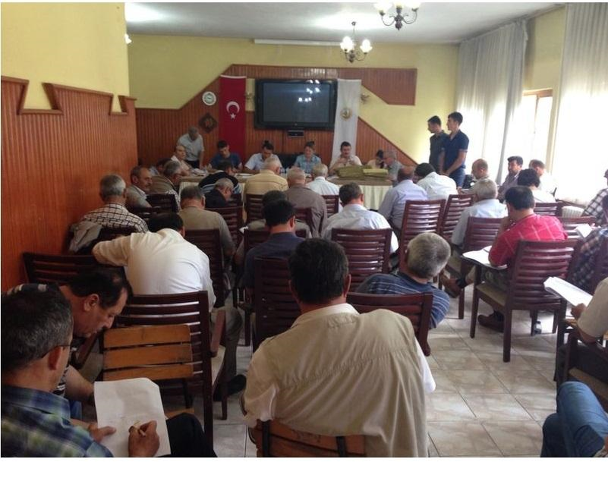 Ayancık\'ta Orman Ürünü Satışları