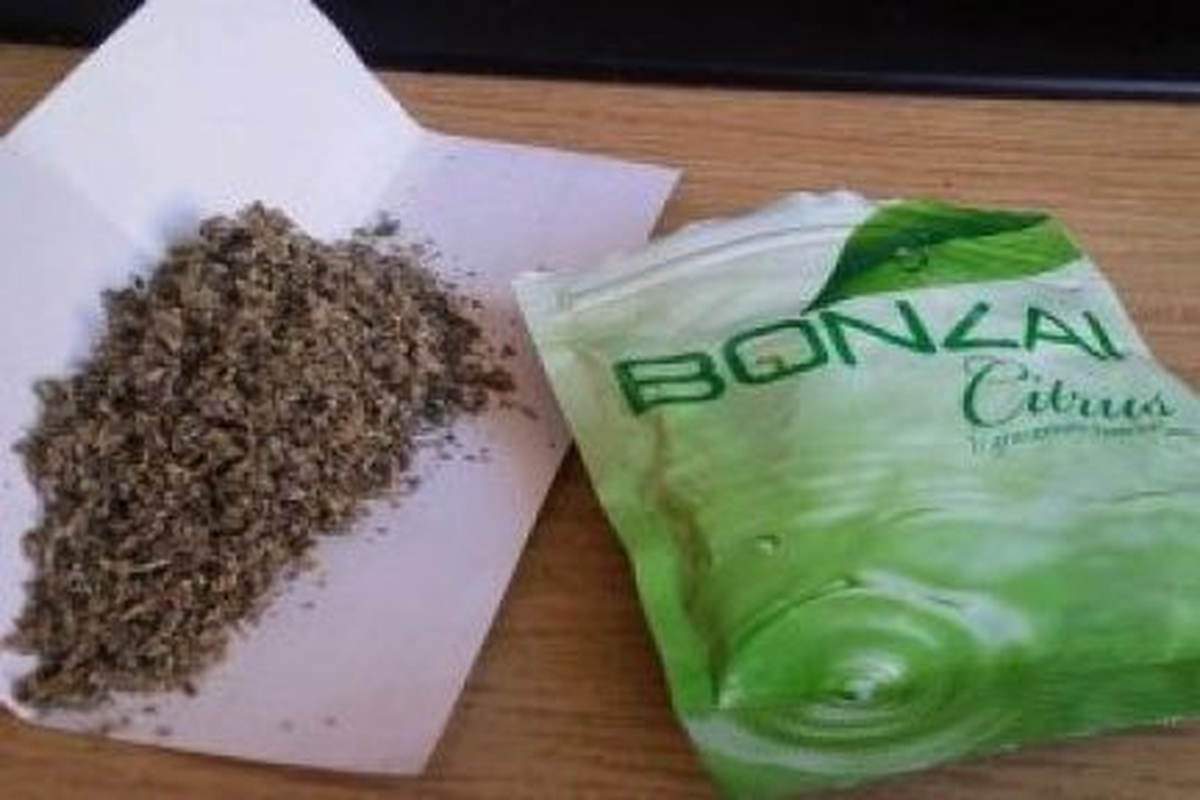 Bonzai Tehlikesi