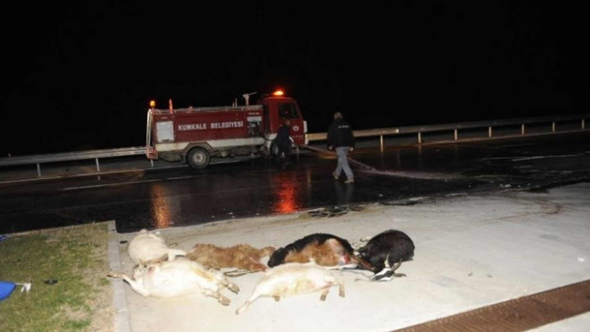 Çanakkale\'de Otomobil Koyun Sürüsüne Çarptı