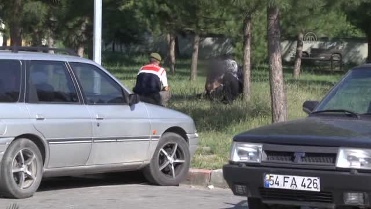 Eski karısını rehin alan kişiyi jandarma komutanı ikna etti -