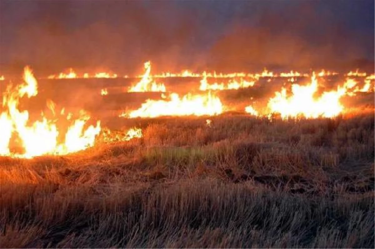 Kırıkkale\'de Çiftçilere Anız Yangını Uyarısı