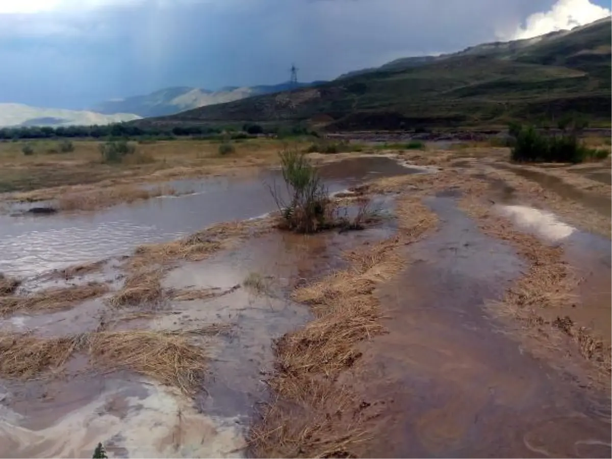 Köylülerin Biçtikleri Otları Sel Götürdü