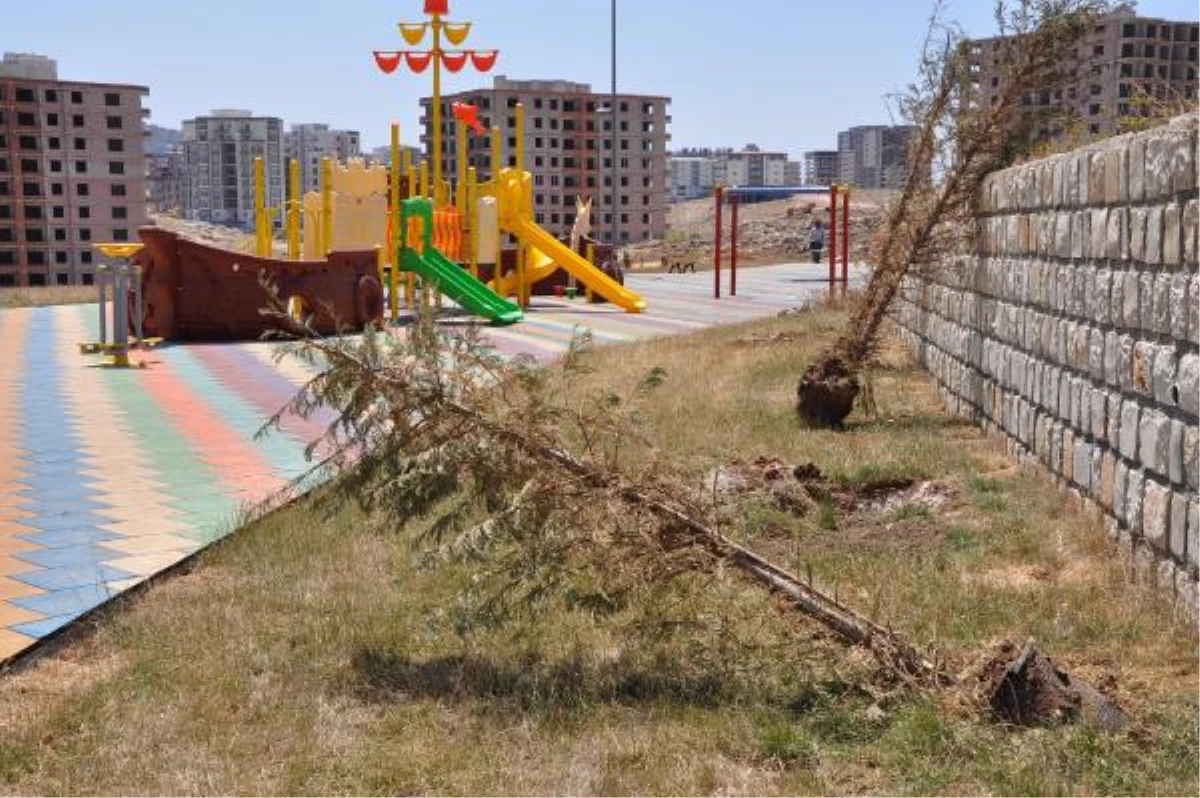 Mardin Belediyesi\'nden Erdoğan\'ın Adının Verildiği Parkı Kurtarma Çalışması