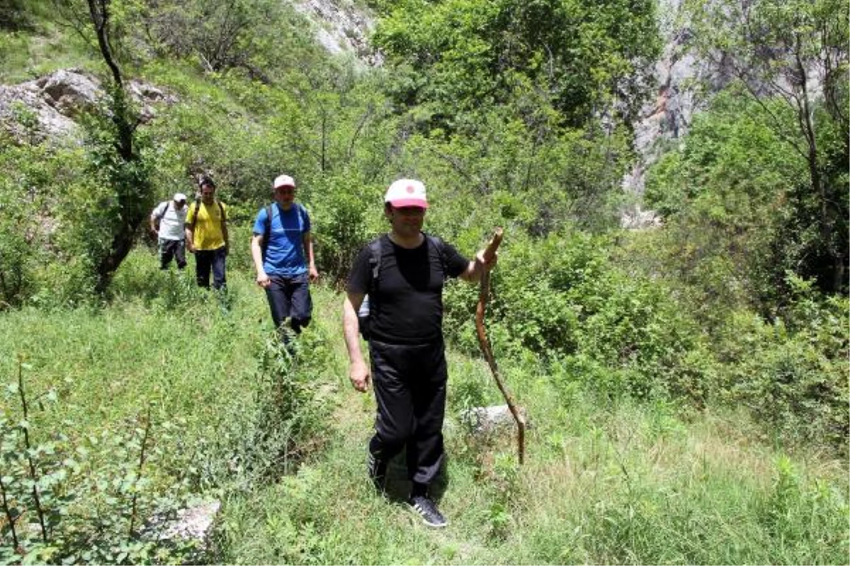 Rektör\'den Kazankaya Kanyonu\'nda Bilimsel Araştırma Önerisi