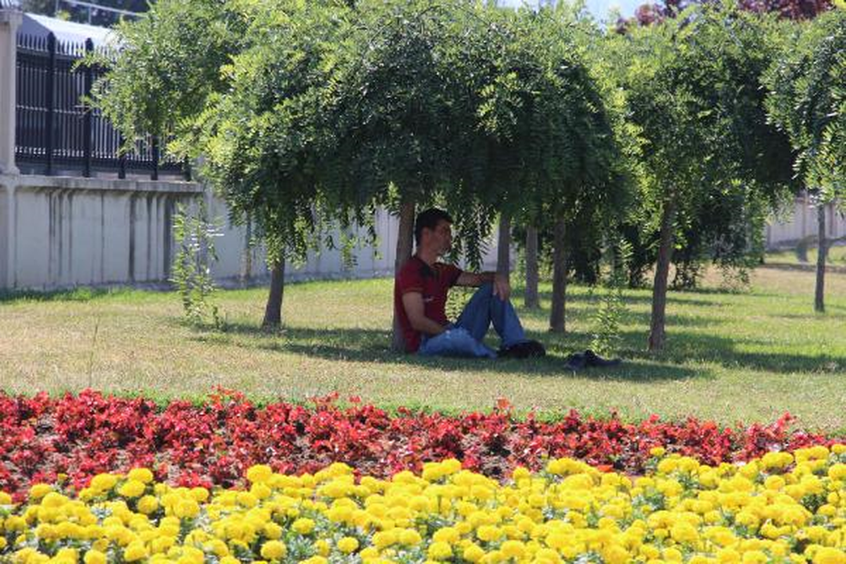 Samsun\'da Sıcak Bunalttı