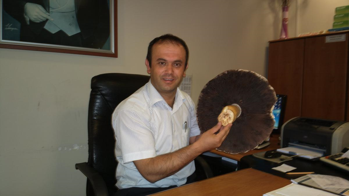Sivas\'ta 40 Santimetre Büyüklüğünde Mantar Bulundu