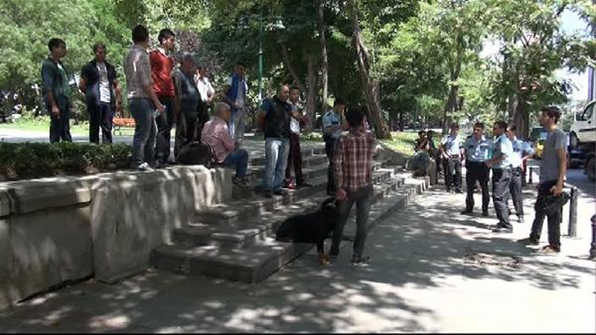 Tasmasız - Bağsız Gezdirilen Köpek Gezi Parkı\'nda Adres Soran Kişiye Saldırdı