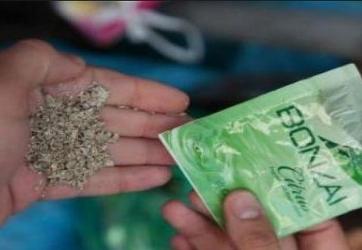 Üzerinde 1 Gram Bonzai Ele Geçti