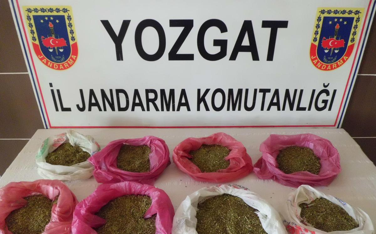 Yozgat\'ta Uyuşturucu Operasyonu