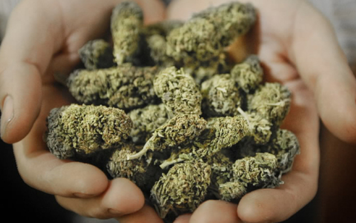 ABD\'nin Marihuana Reformu