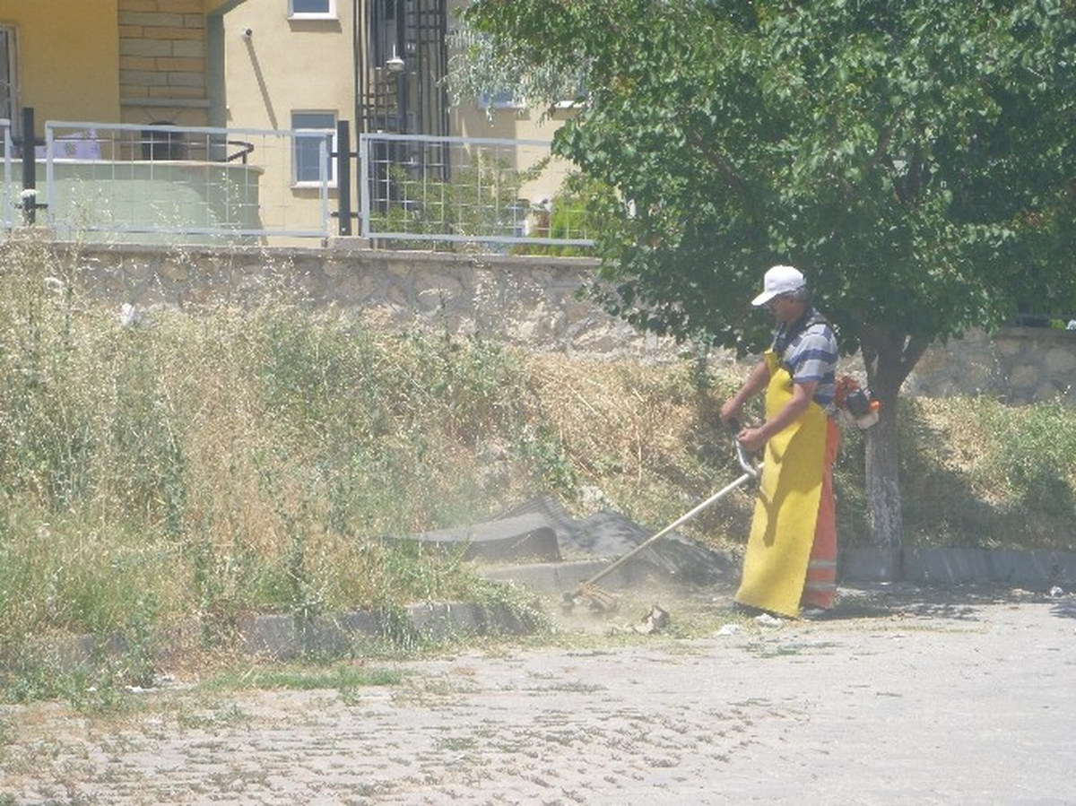 Belediyeden Yabani Ot Temizliği