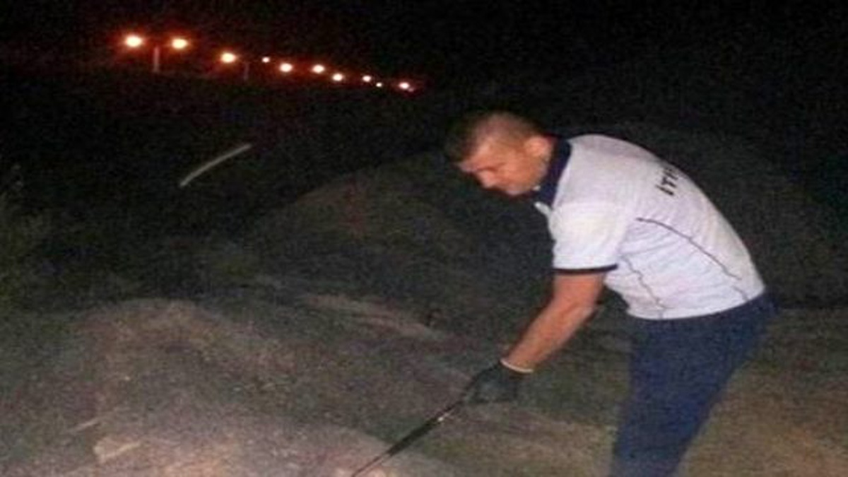 Beyşehir\'de İtfaiyenin Yılan ve Yabani Arı Mesaisi