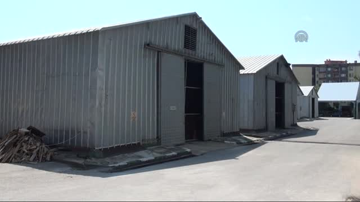 Buğday üreticilerine taahhütlü alım uygulaması -