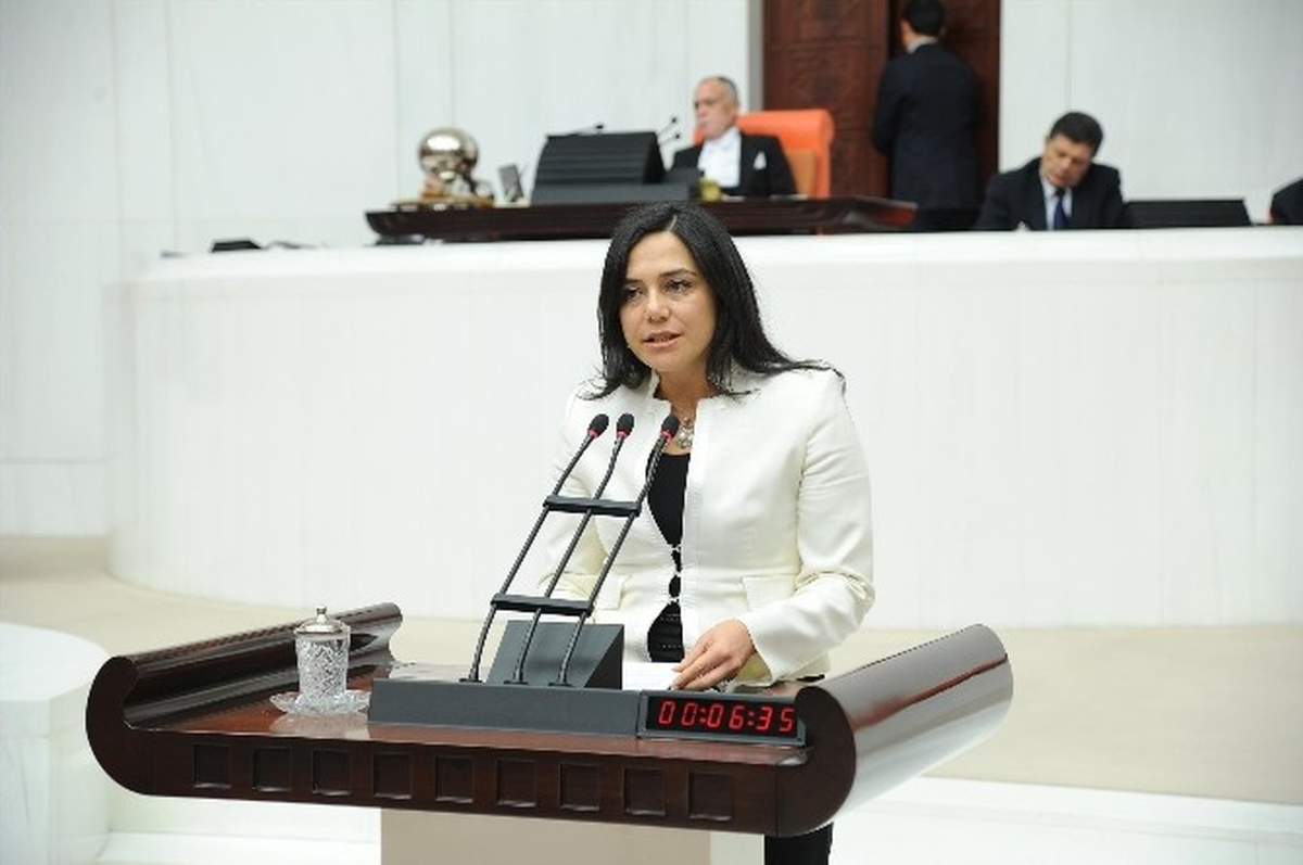 CHP Pm Üyesi Candan Yüceer Bonzai\'yi Meclis Gündemine Taşıdı