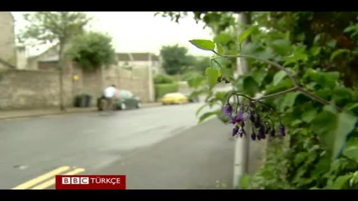 Cihatçılarla Evlenmeye Giden Kadınlar