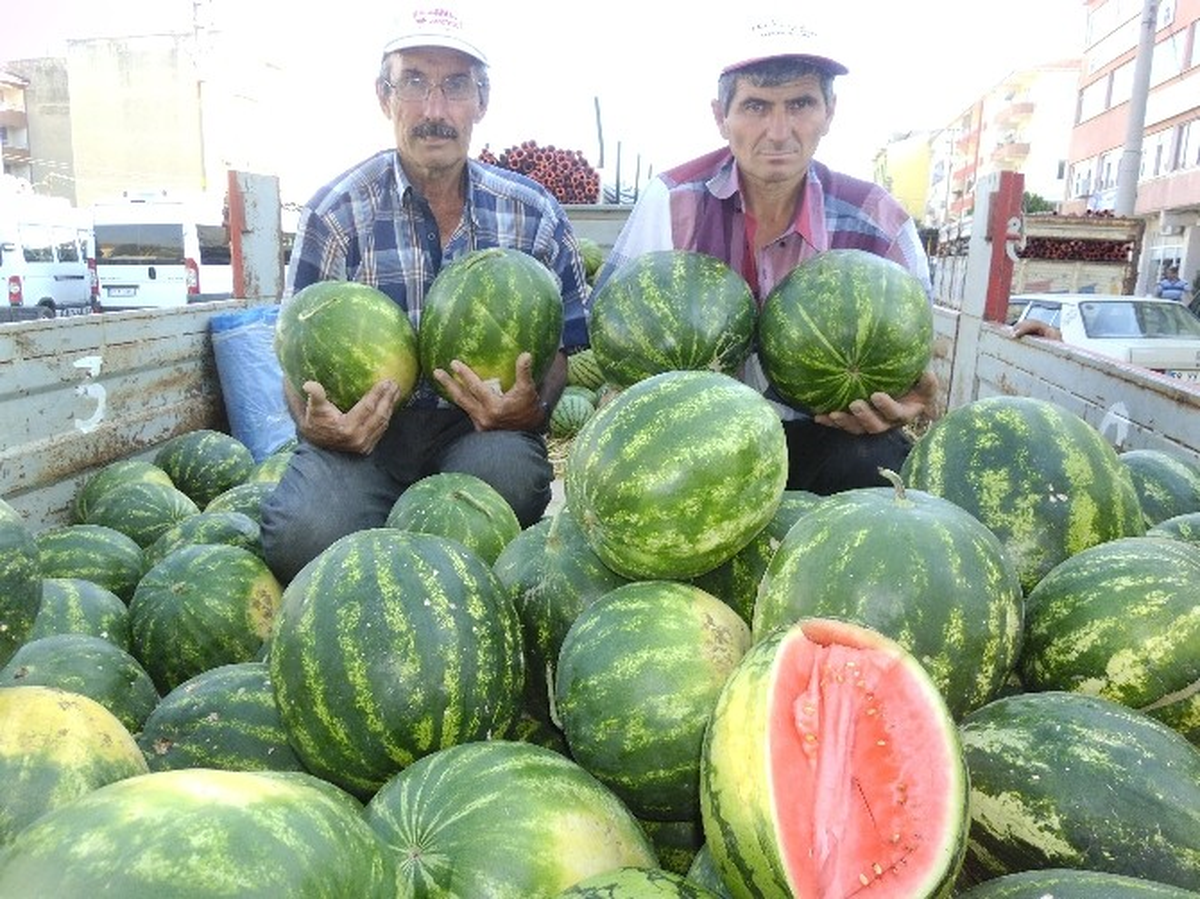 Trakya\'da Yerli Karpuz Çıktı