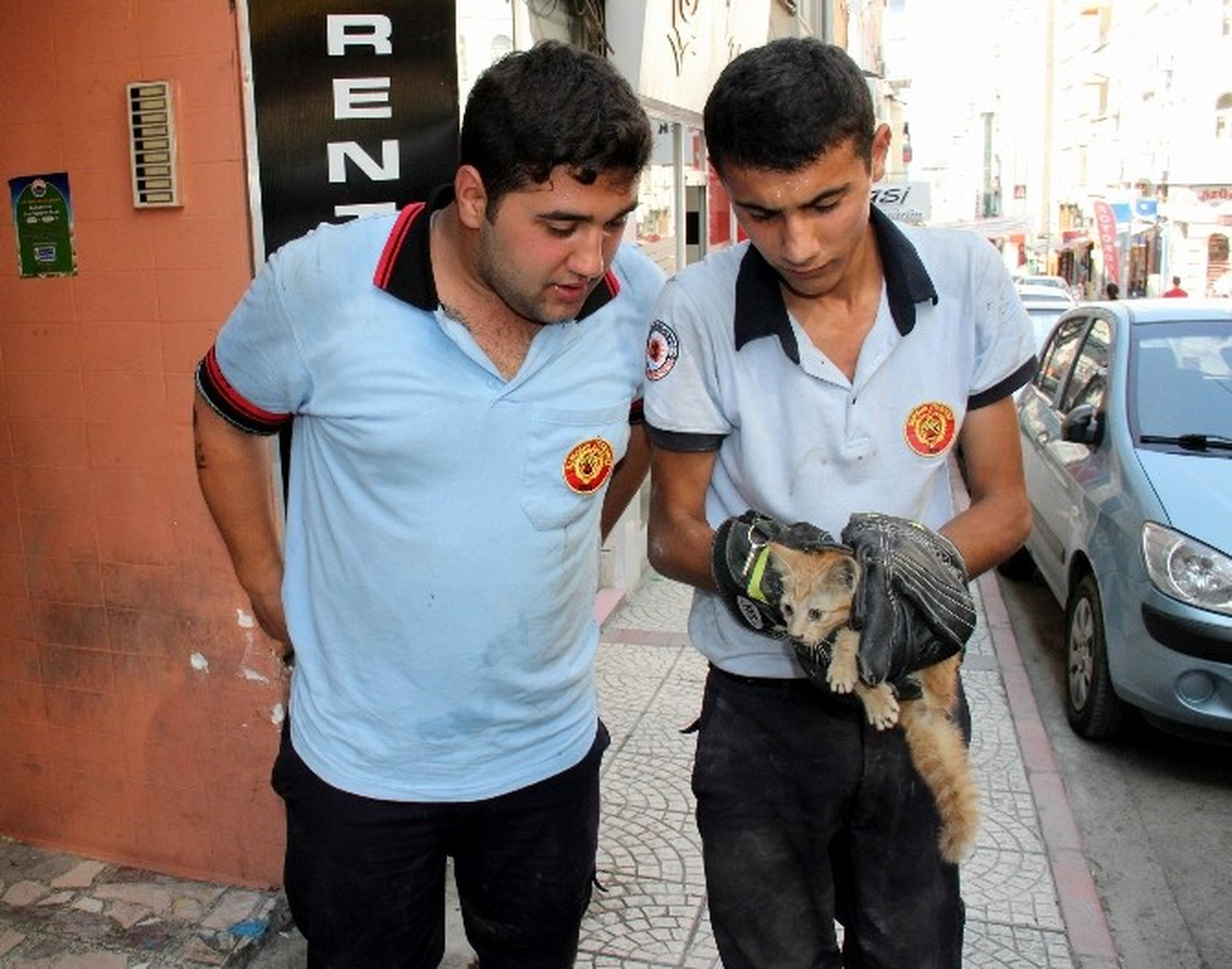 Asansör Boşluğunda Mahsur Kalan Kediyi İtfaiye Kurtardı