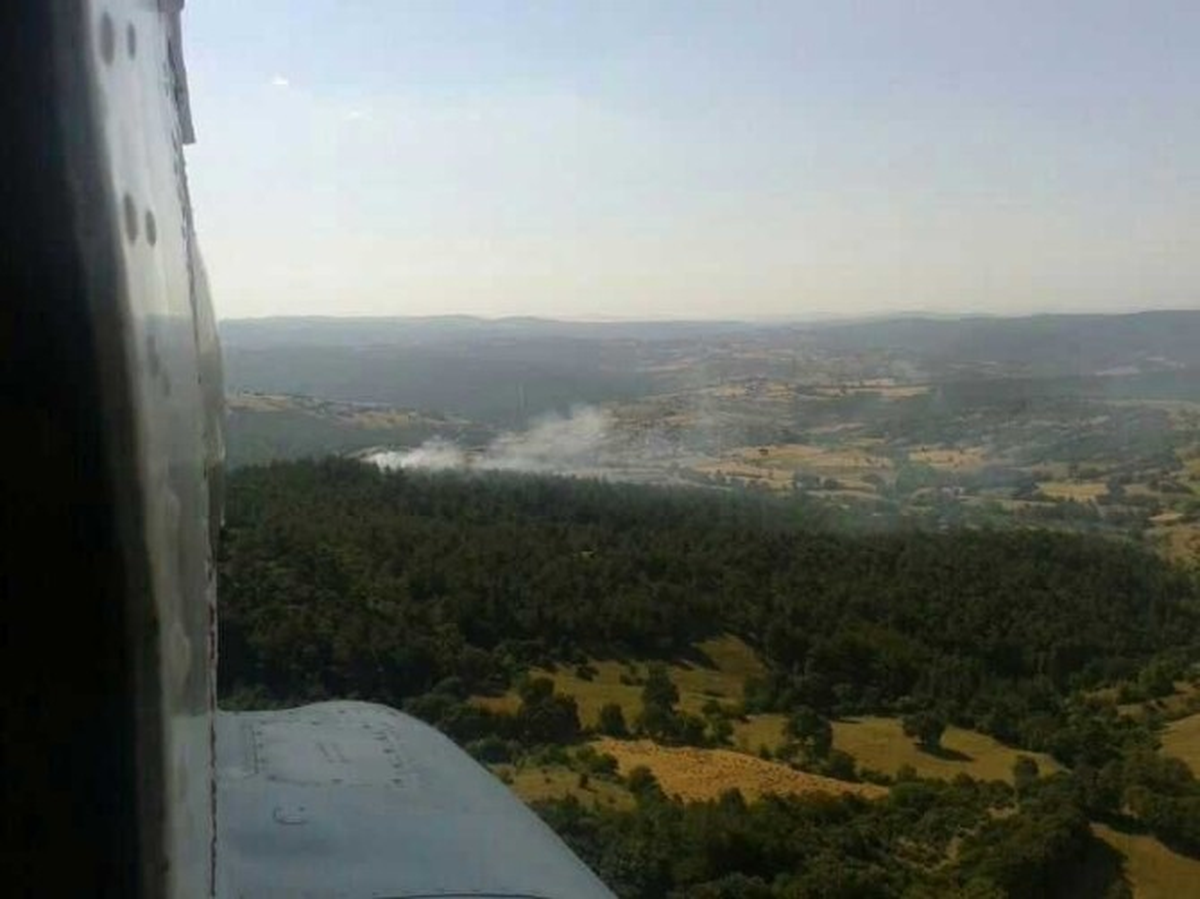 Balıkesir\'de Orman Yangını
