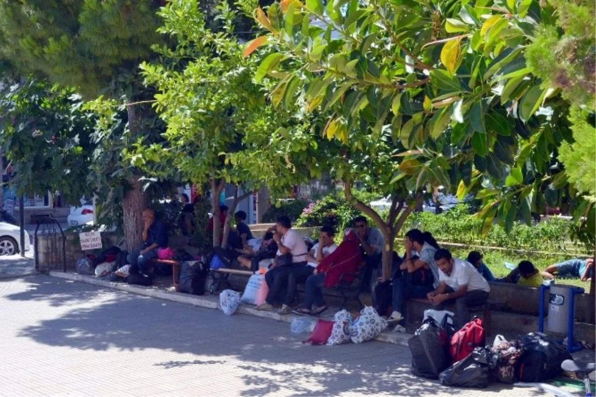 Datça\'da 33 Kaçak Göçmen Yakalandı