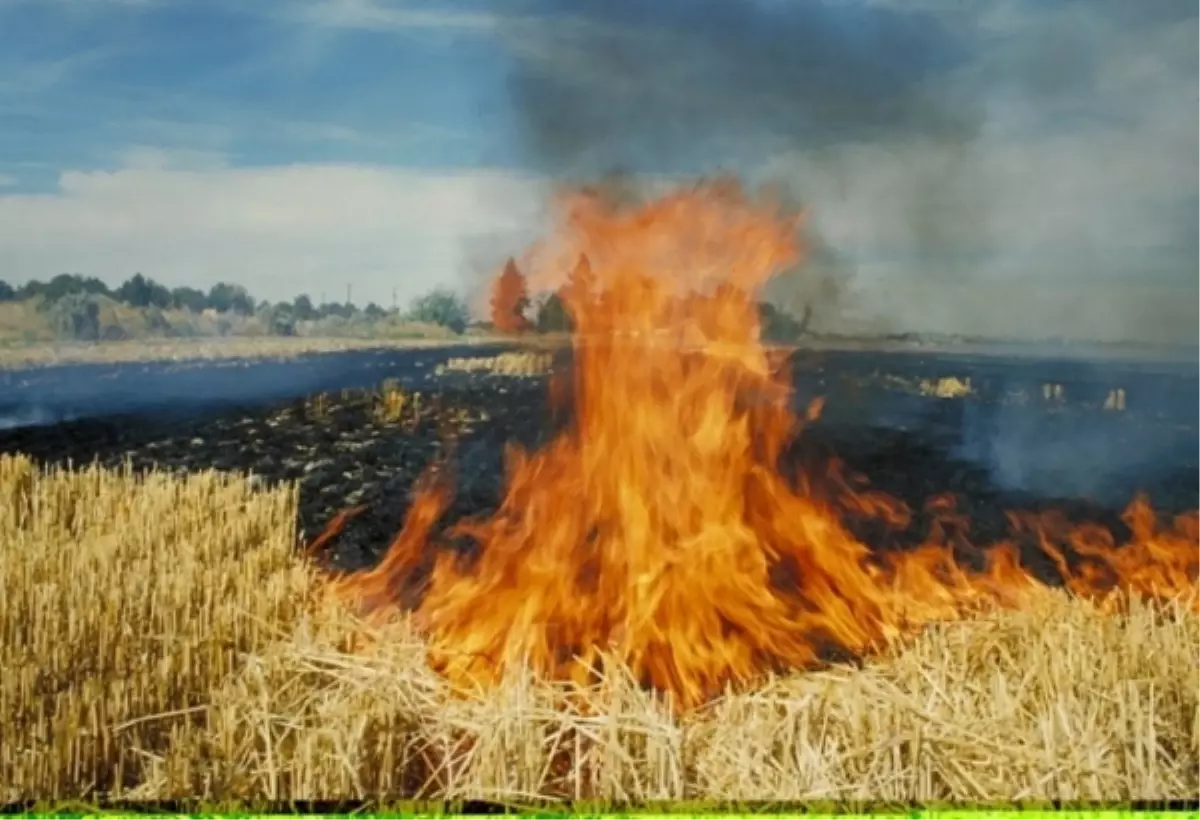 Doğa Dostu Biçerdöverler Anız Yakmaya Alternatif Oluyor