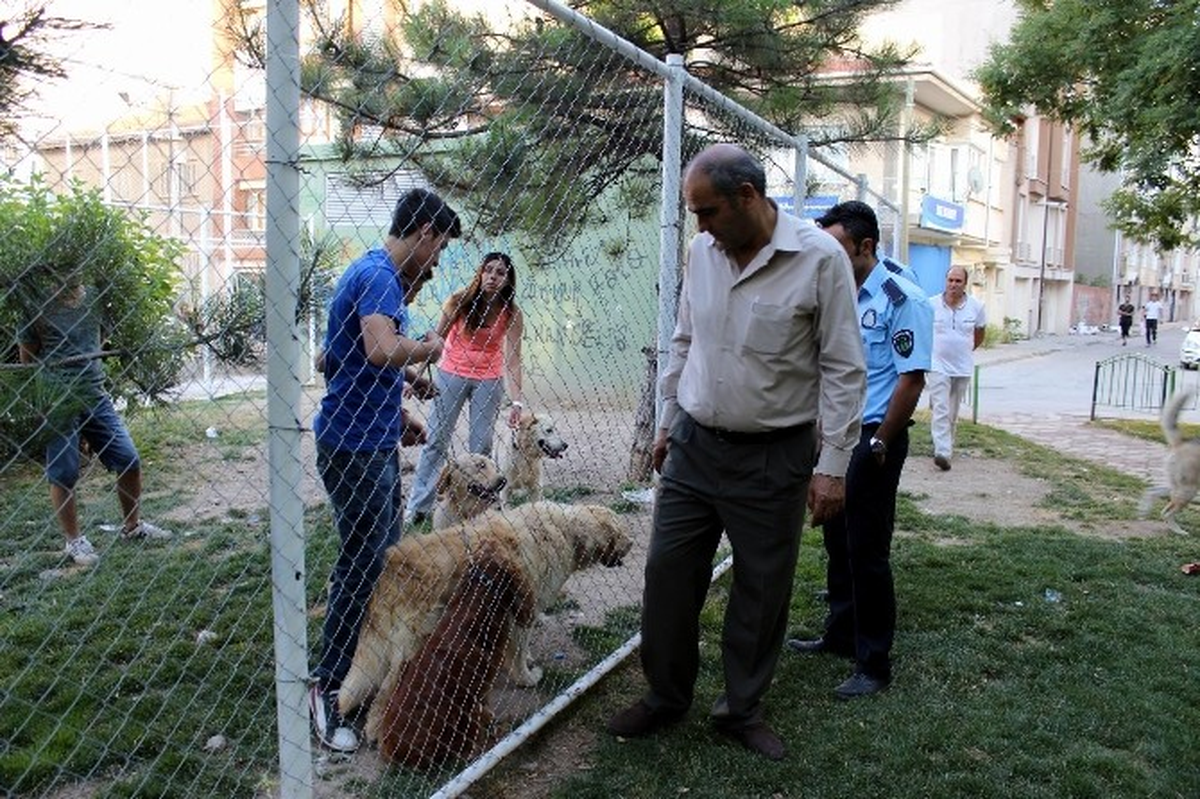 Eskişehir\'de \'Pitbull\' Denetimi