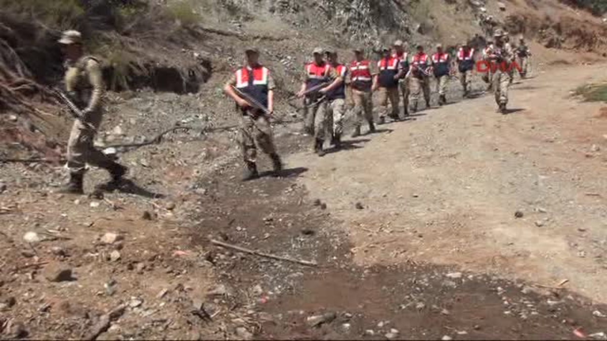 Hatay\'da 42 Bin Kök Hintkeneviri Ele Geçirildi
