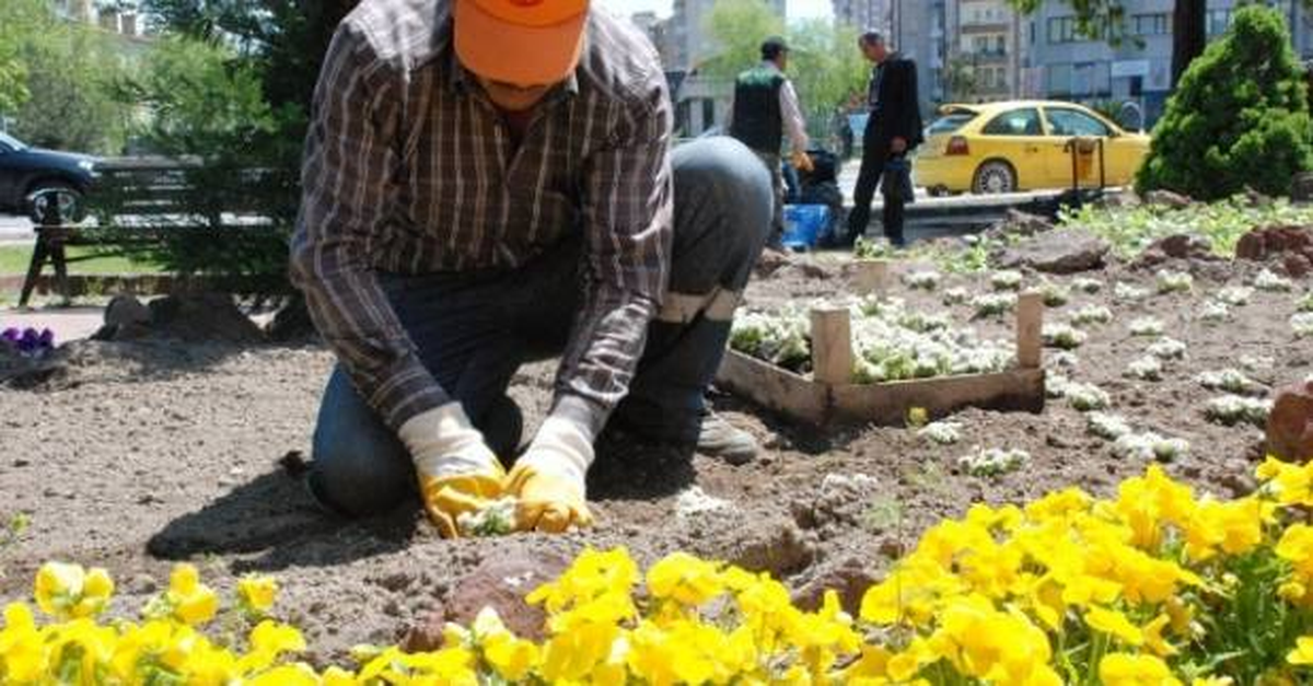 Hatay\'da Park ve Bahçe Düzenlemesi