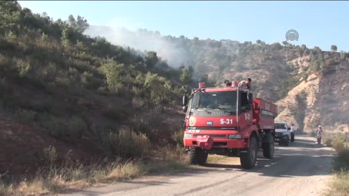 Orman yangını -