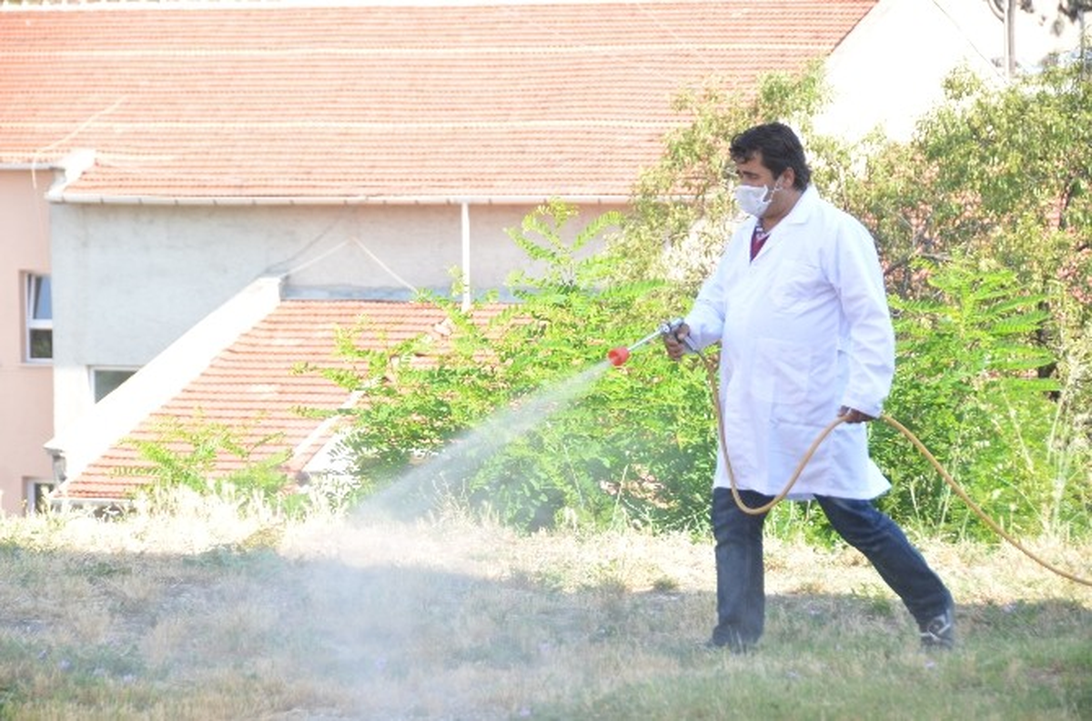 Bilecik\'te Kene ve Böceklere Karşı İlaçlama Çalışması