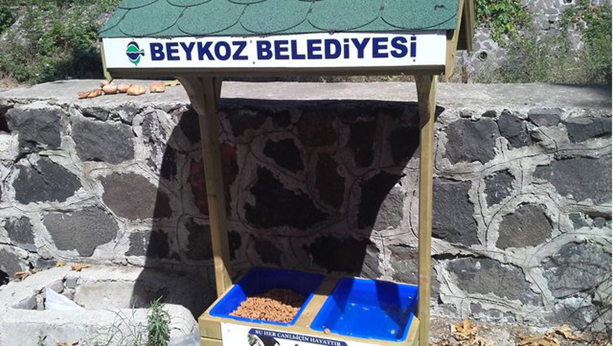 Bir Kap Su, Bir Kap Mama