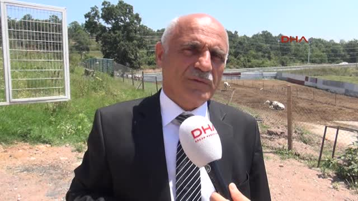 Devlet Tüberkülozlu İnekleri Sattı, Besiciler İcralık Oldu