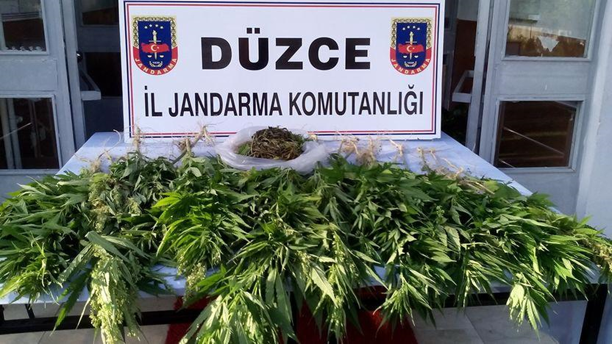 Düzce\'de Uyuşturucu Operasyonu