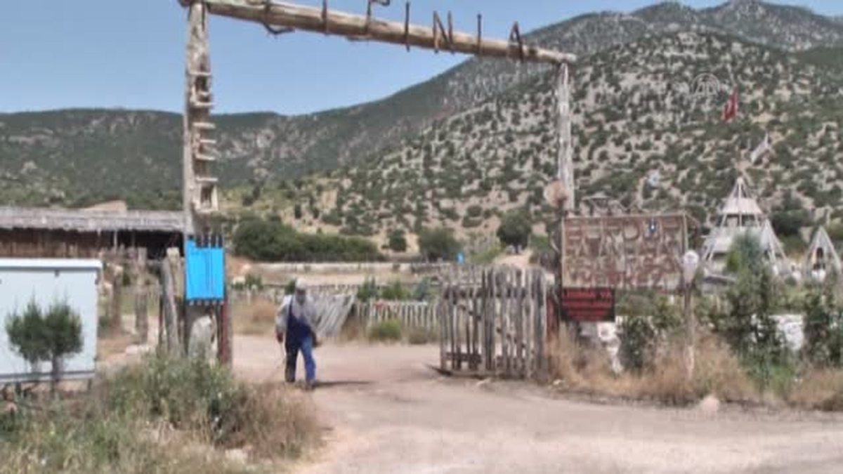 Felçli tilki tedavisinin ardından doğaya salındı -