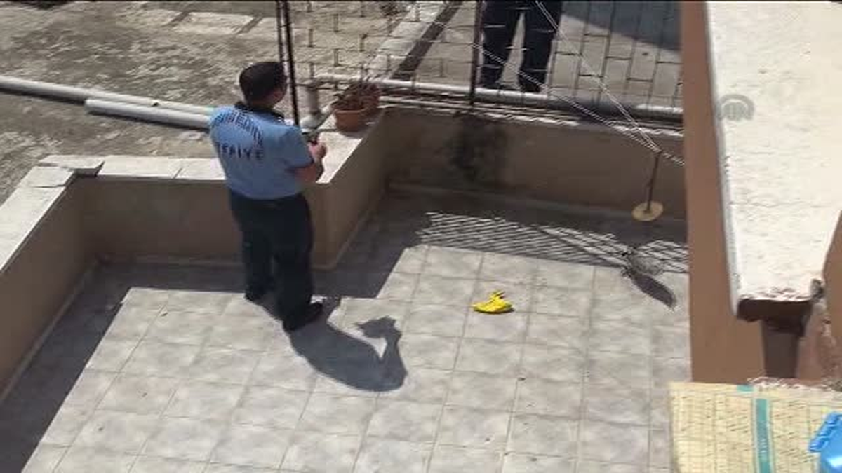 İtfaiyeden "martı kurtarma" operasyonu -