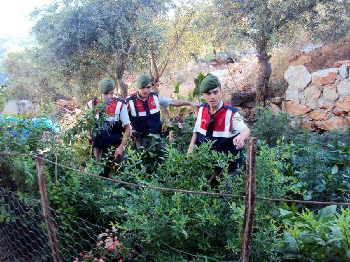 Kaş\'ta Uyuşturucu Operasyonu: 4 Gözaltı