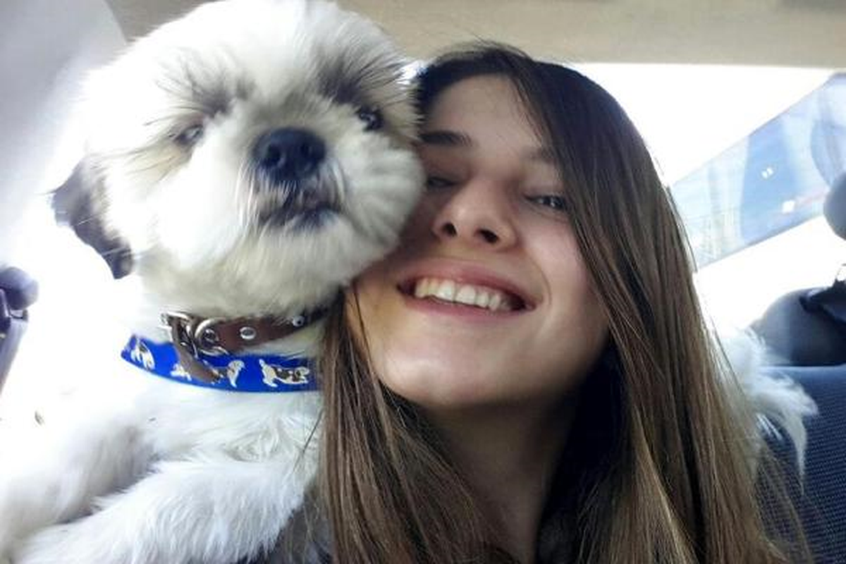 Kayıp Köpeğini Billboard İlanıyla Arıyor