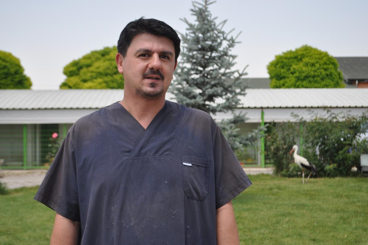 Sağlığına Kavuşan Leylek Uçmayı Bekliyor