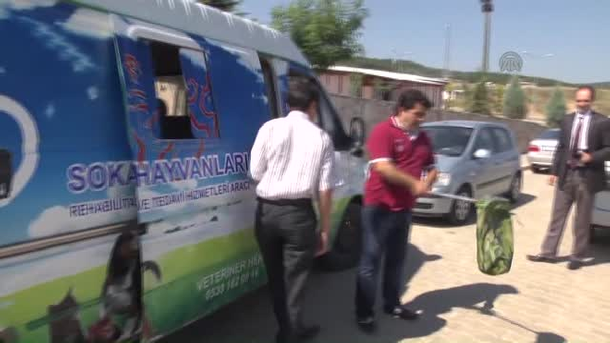 Bilecik\'te Yılan Operasyonu