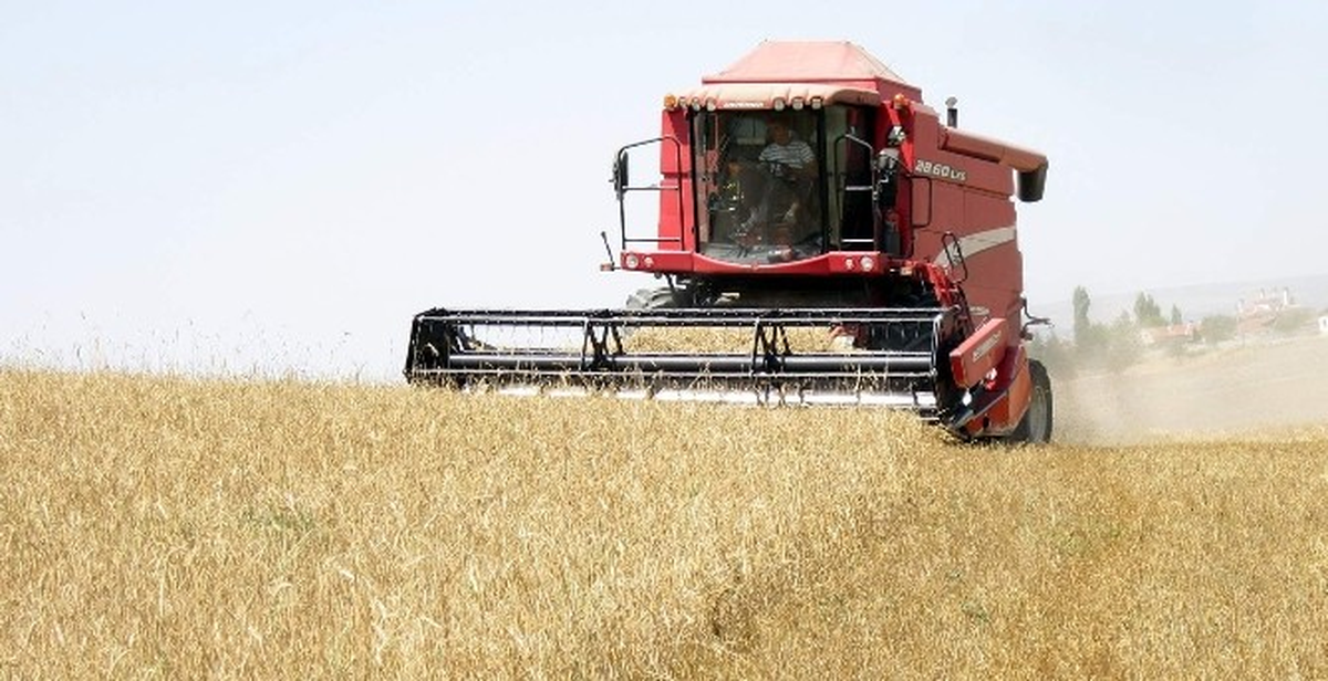 Buğday ve Arpa Hasadı Devam Ediyor