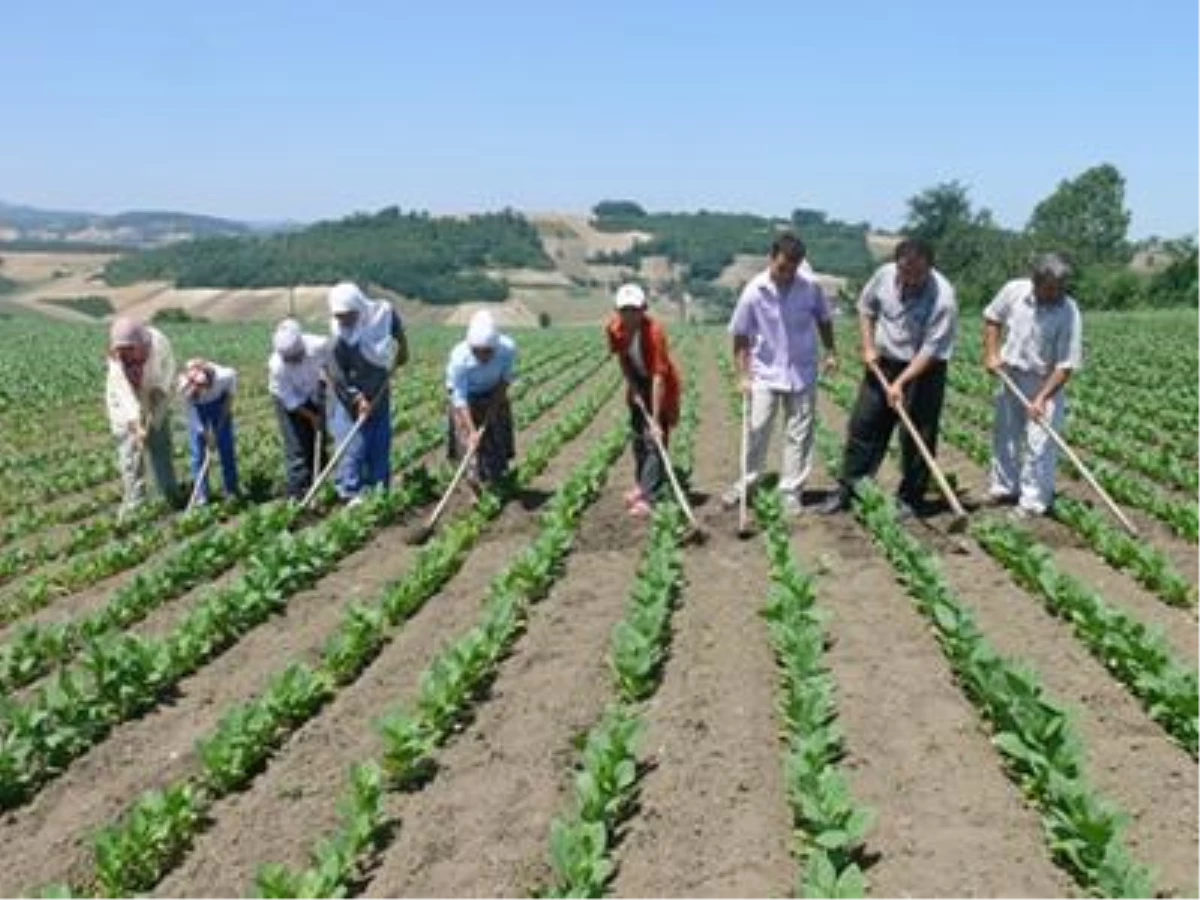 CHP\'den Kanun Teklifi: Çiftçiler İçin Zarar Çıtası Yüzde 40\'tan 30\'a İndirilsin