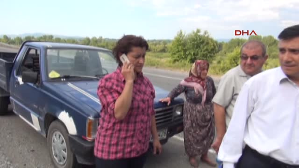 Kamyonun Çarptığı İnek Yol Kenarında Kesildi