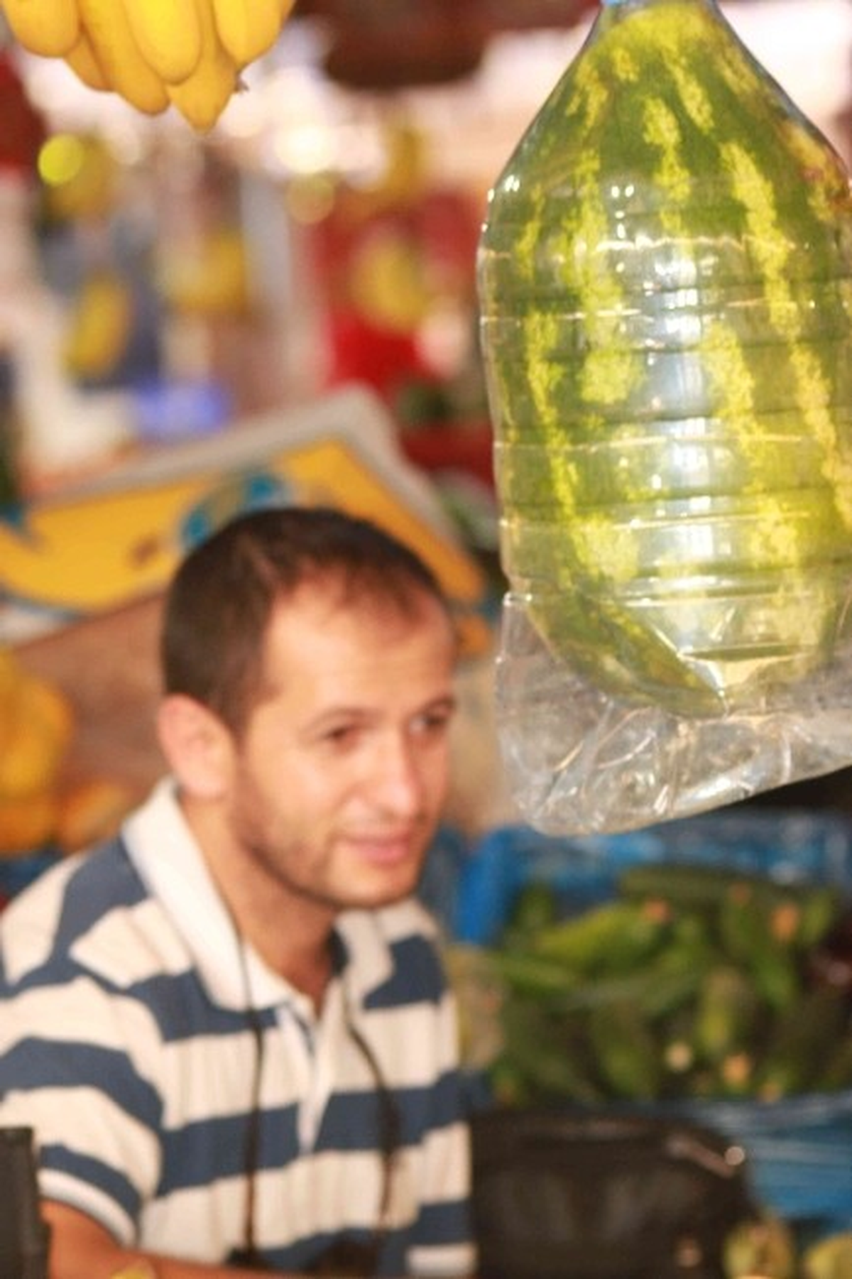 Plastik Şişe İçerisinde Karpuz Yetiştiriyor