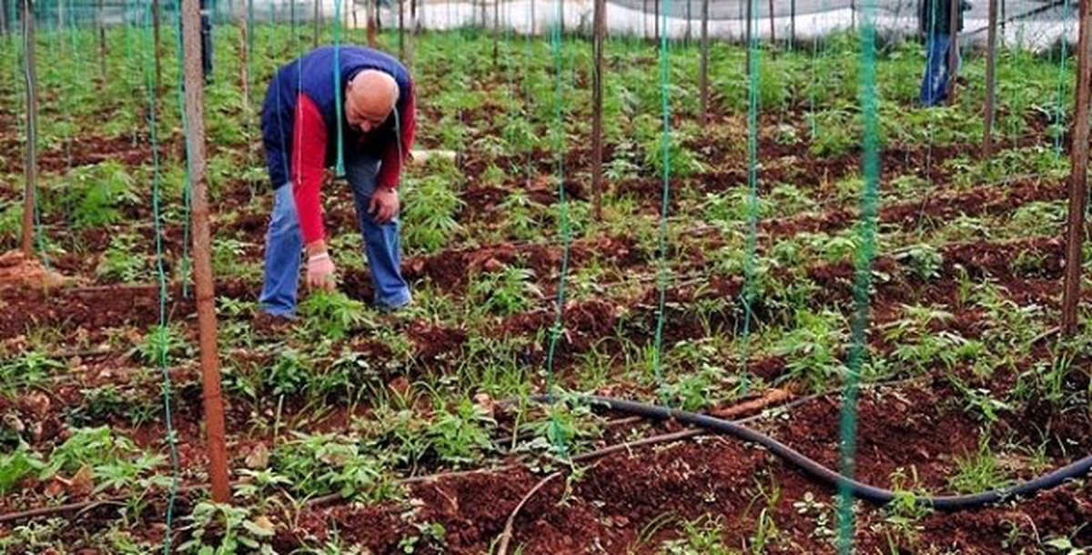 Yatırım İştahındaki Zayıflama Büyümeyi Tehdit Ediyor