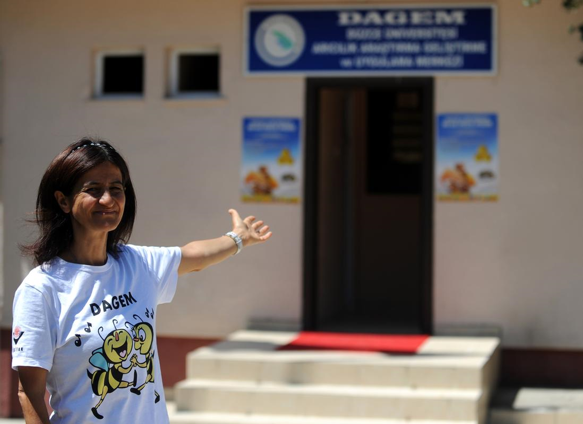 Arı Ürünleri, Girişimci Fikirlerle Değer Kazanacak