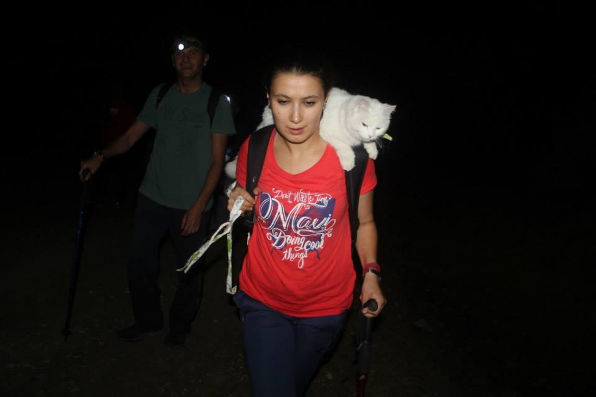 Beyşehir\'de Doğaseverlerden Gece Yürüyüşü Etkinliği
